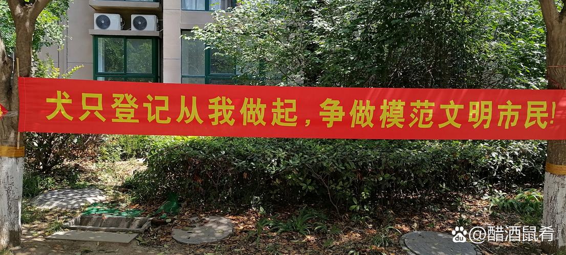 企业官网建设
